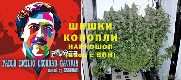 стаф Володарск