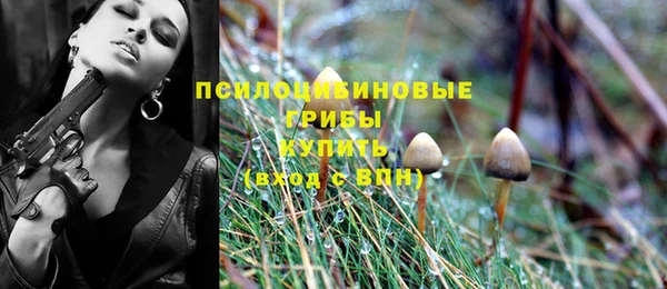 Альфа ПВП Тында