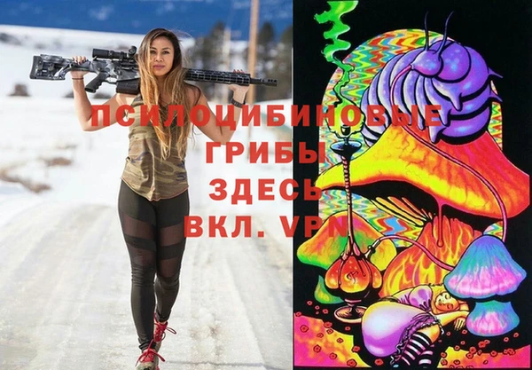 стаф Володарск