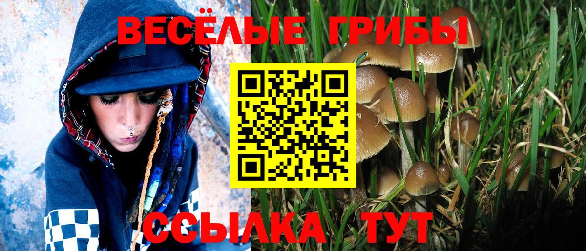 Мариинск  Псилоцибиновые грибы MAGIC MUSHROOMS  Вход с VPN  Галлюциногенные грибы GOLDEN TEACHER 