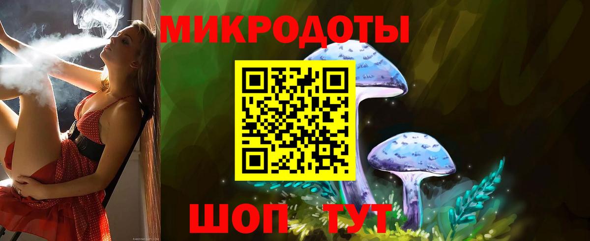 Псилоцибиновые грибы Psilocybine cubensis Мариинск